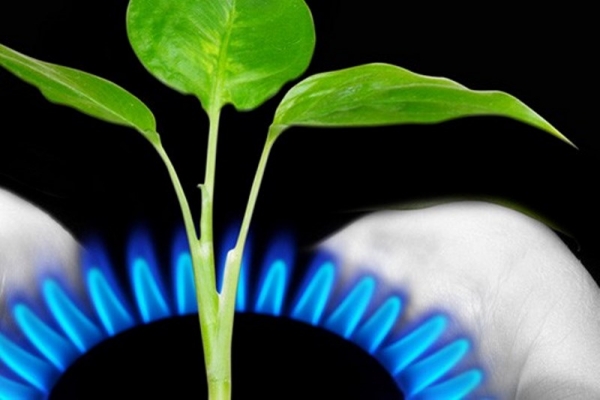 Gas: ¿El mejor aliado contra el Cambio Climático?