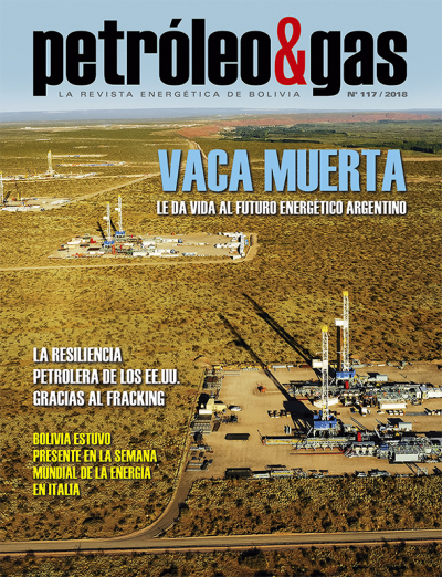 Revista Petróleo &amp; Gas No. 117