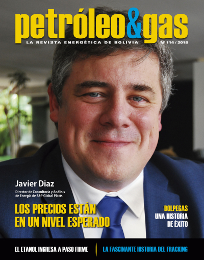 Revista Petróleo &amp; Gas No. 114