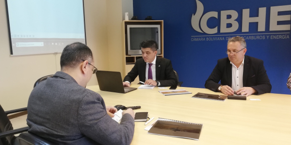 VISITA EJECUTIVA