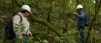 ¿Cómo se logró ensamblar la relación ambiental entre los Guaraníes y las empresas?