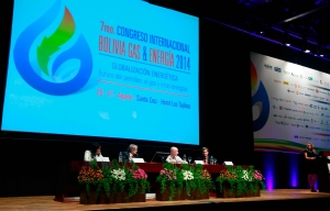 Congreso BG&amp;E 2014