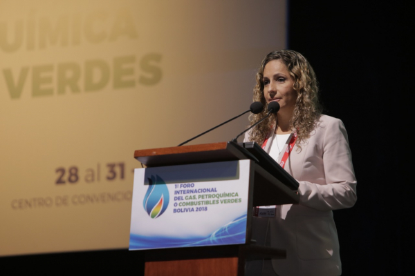 PRESIDENTE DE LA CBHE: &quot;HOY EL SECTOR DE HIDROCARBUROS ESTÁ DEDICADO A DARLE SOSTENIBILIDAD A LA CAPACIDAD PRODUCTIVA ACTUAL Y FUTURA&quot;