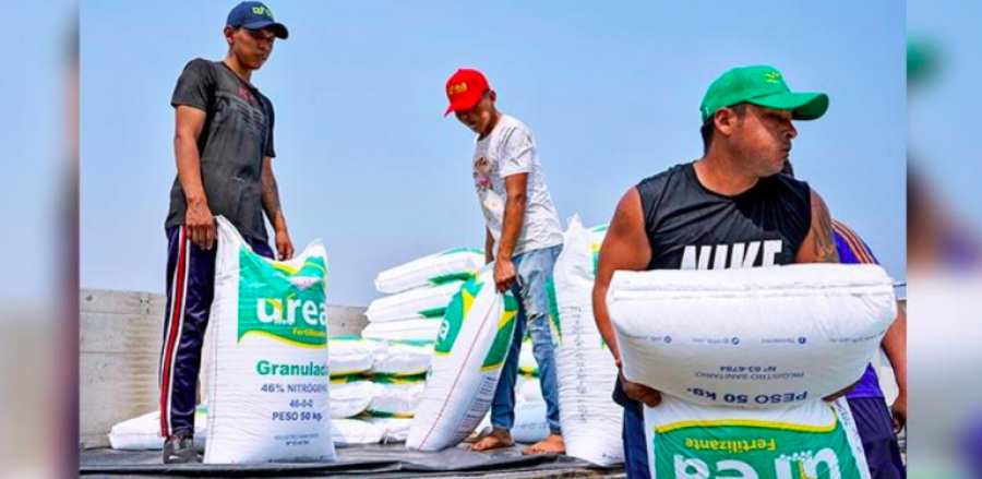 El 96% de la urea producida en el país es exportada a cinco países