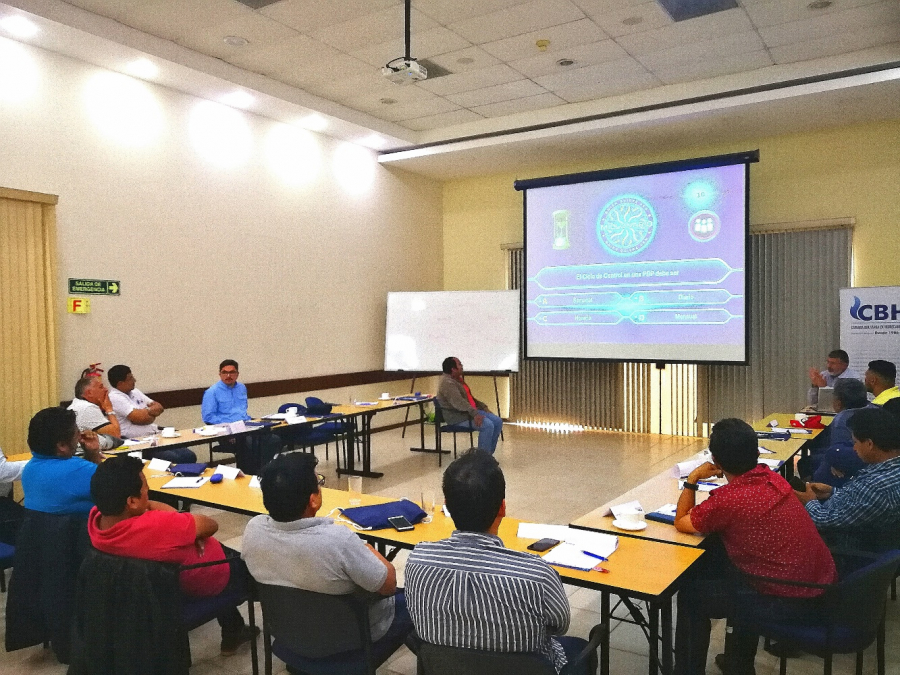 CURSO: GESTIÓN PMI DE PARADA DE PLANTAS