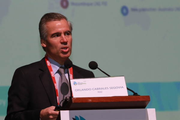 LA UNIÓN INTERNACIONAL DEL GAS ASEGURA QUE EL GAS NATURAL SEGUIRÁ SIENDO UN JUGADOR VITAL EN EL DESARROLLO SOSTENIBLE DE LOS SISTEMAS DE ENERGÍA DEL FUTURO